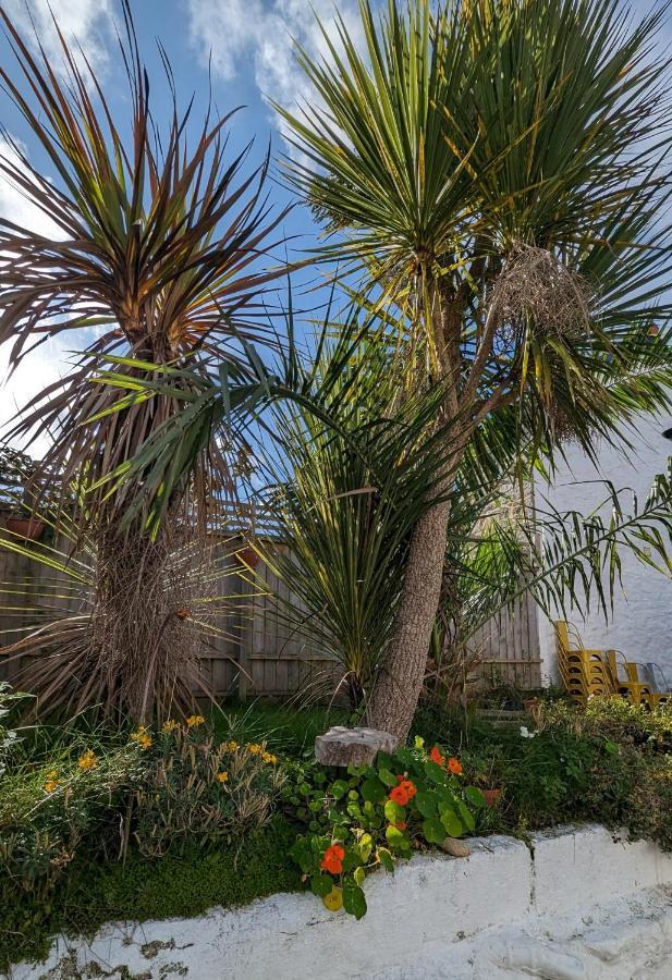 Britannia House Vintage B&B Cornwall Helston Esterno foto